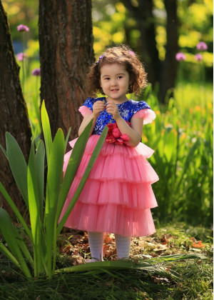 Cap Sleeves Blue Sequin Pink Tulle Tiered Flower Girl Dress